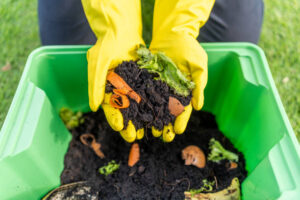 Beginner's Guide to Composting