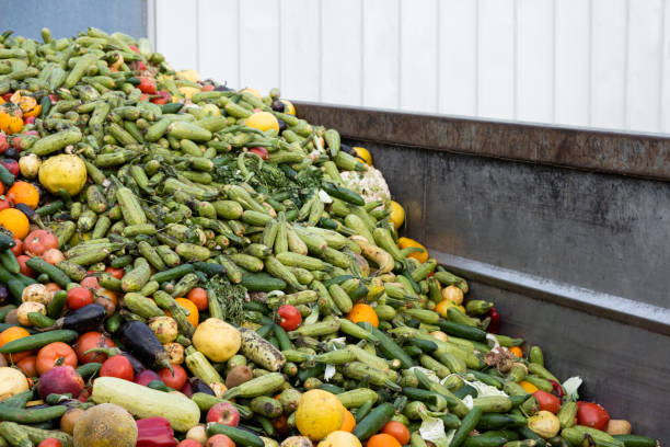 causes of food waste