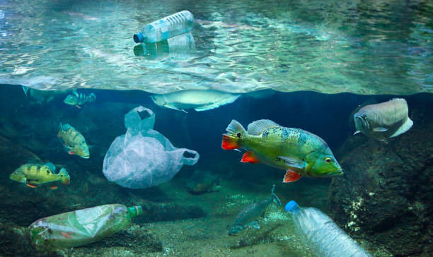 reducing plastic waste in oceans