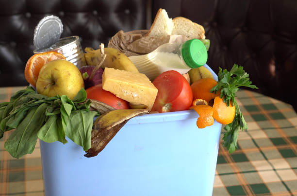 Uneaten spoiled vegetables are thrown in the trash. Food Loss and Food Waste.