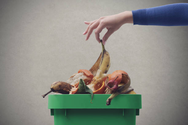 Woman putting organic biodegradable waste in a recycling bin. Environmental Impact of Food Waste