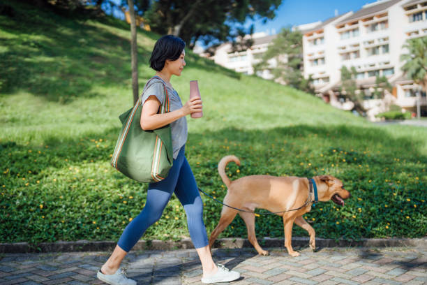 Young Asian woman holding a reusable drinking bottle, walking her pet dog on a leash in the park on a sunny morning, enjoying time together in the nature. Zero-waste dog care.