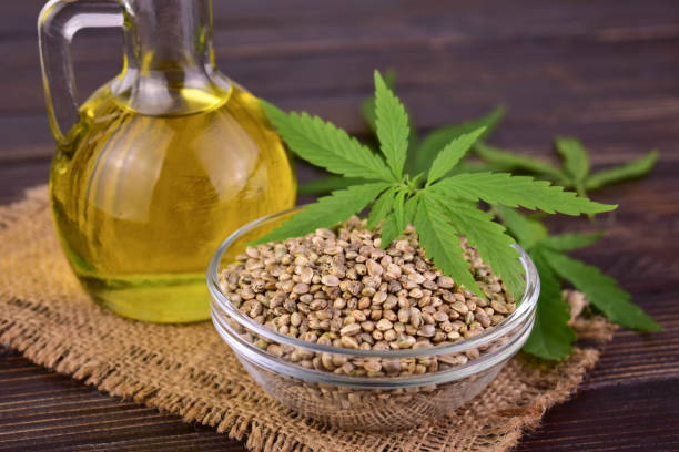 Healthy hemp oil and hemp seeds on wooden background. Vegan Protein Sources.