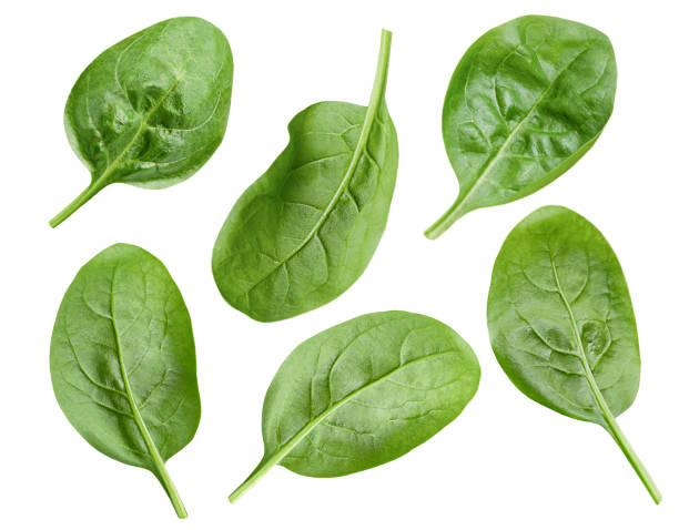 spinach leaves on white isolated background.