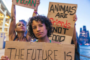 How Going Vegan Helps Animal Rights. Group of women showing their messages supporting veganism and cruelty-free culture.